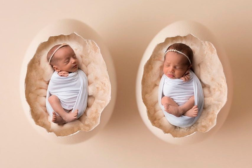 Como forçar o nascimento de gêmeos, trigêmeos, e muito mais