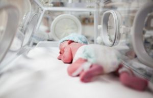 prematuridade twins uti gemeos